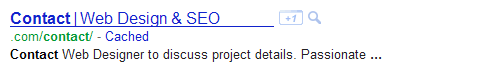Basic Google SERP Result